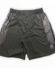 Body Armor Hybrid Shorts