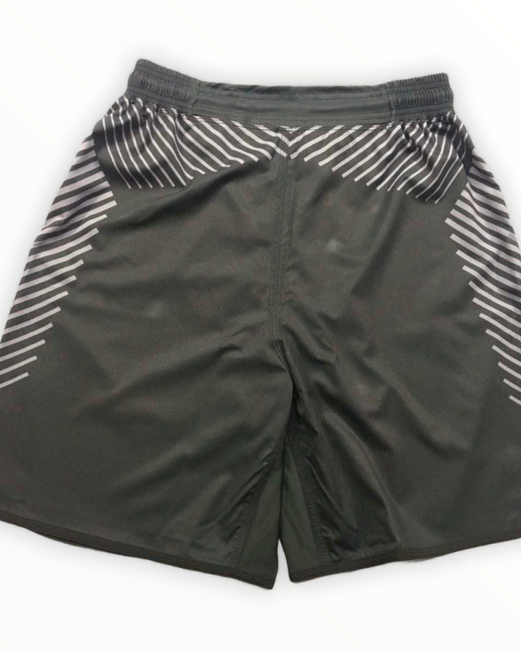 Body Armor Hybrid Shorts